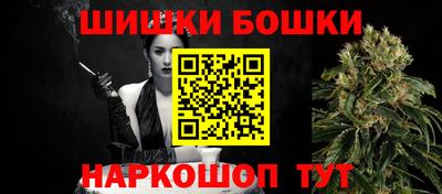 индика Мариинск