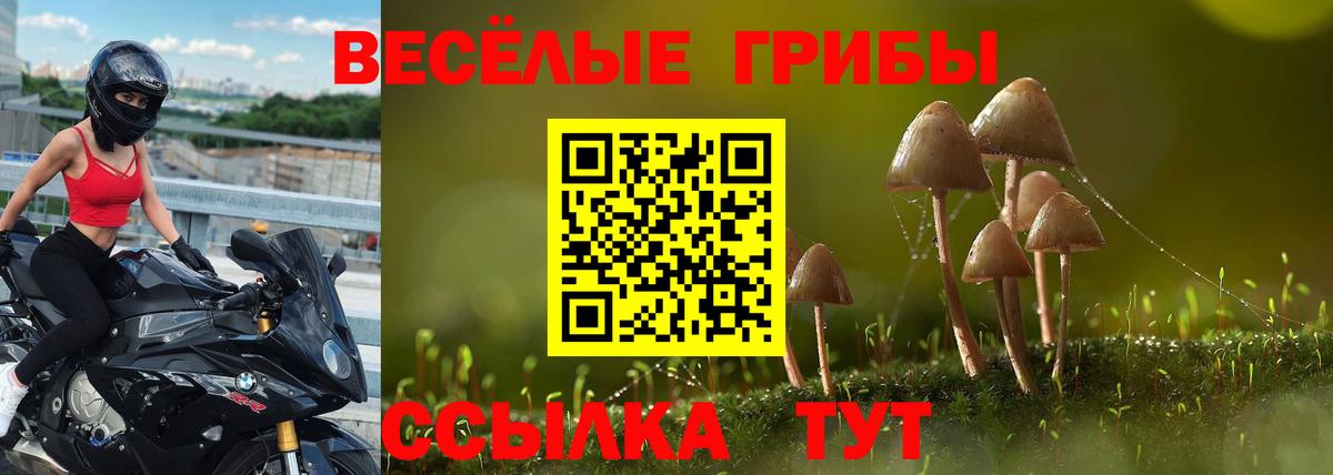 Калач-на-Дону  Галлюциногенные грибы Psilocybe  Вход с VPN  Псилоцибиновые грибы прущие грибы 